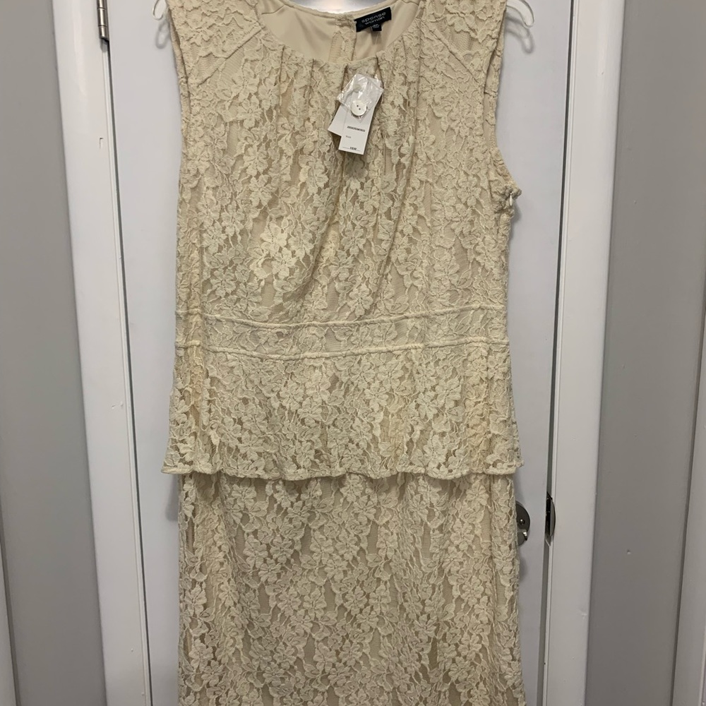 Lacy Beige Plus Sized Dress